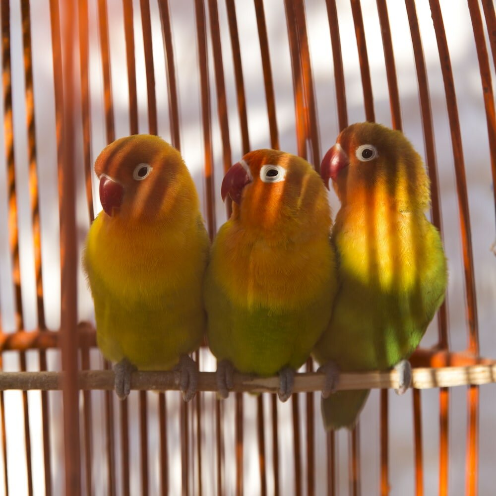 Фото Riad Tamayourt Ocean View