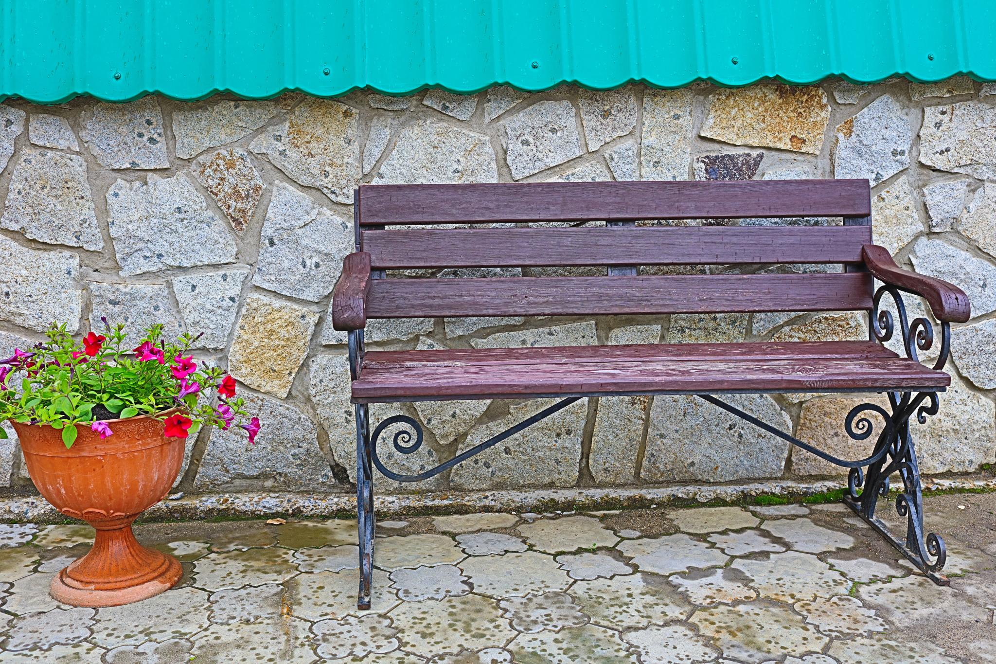 Фото Беркут