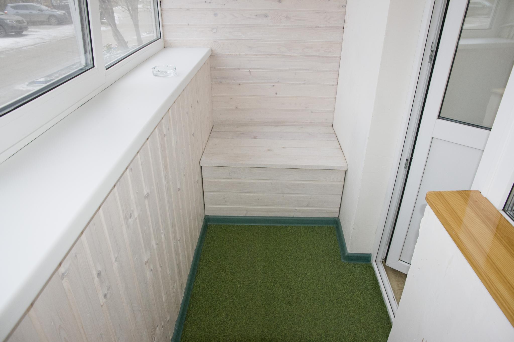 Фото Барбарис