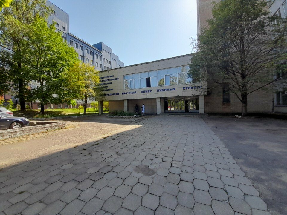 Ingeniería de radio Radiochastotny tsentr tsentralnogo federalnogo okruga, filial, Fgup, , foto