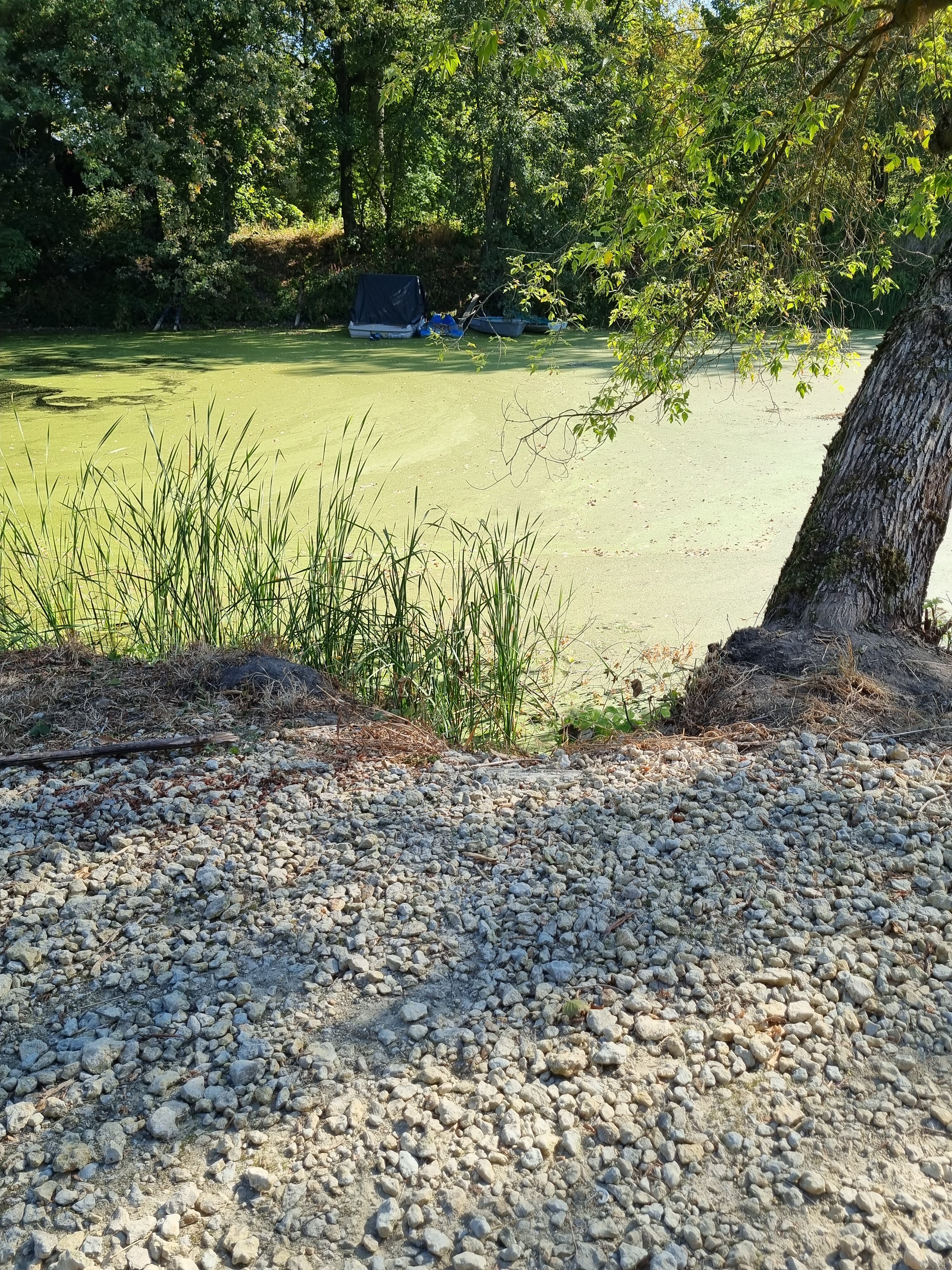 Фото Хутор Калина Красная