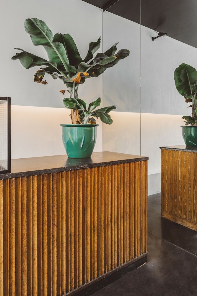 Фото Hotel Pilar