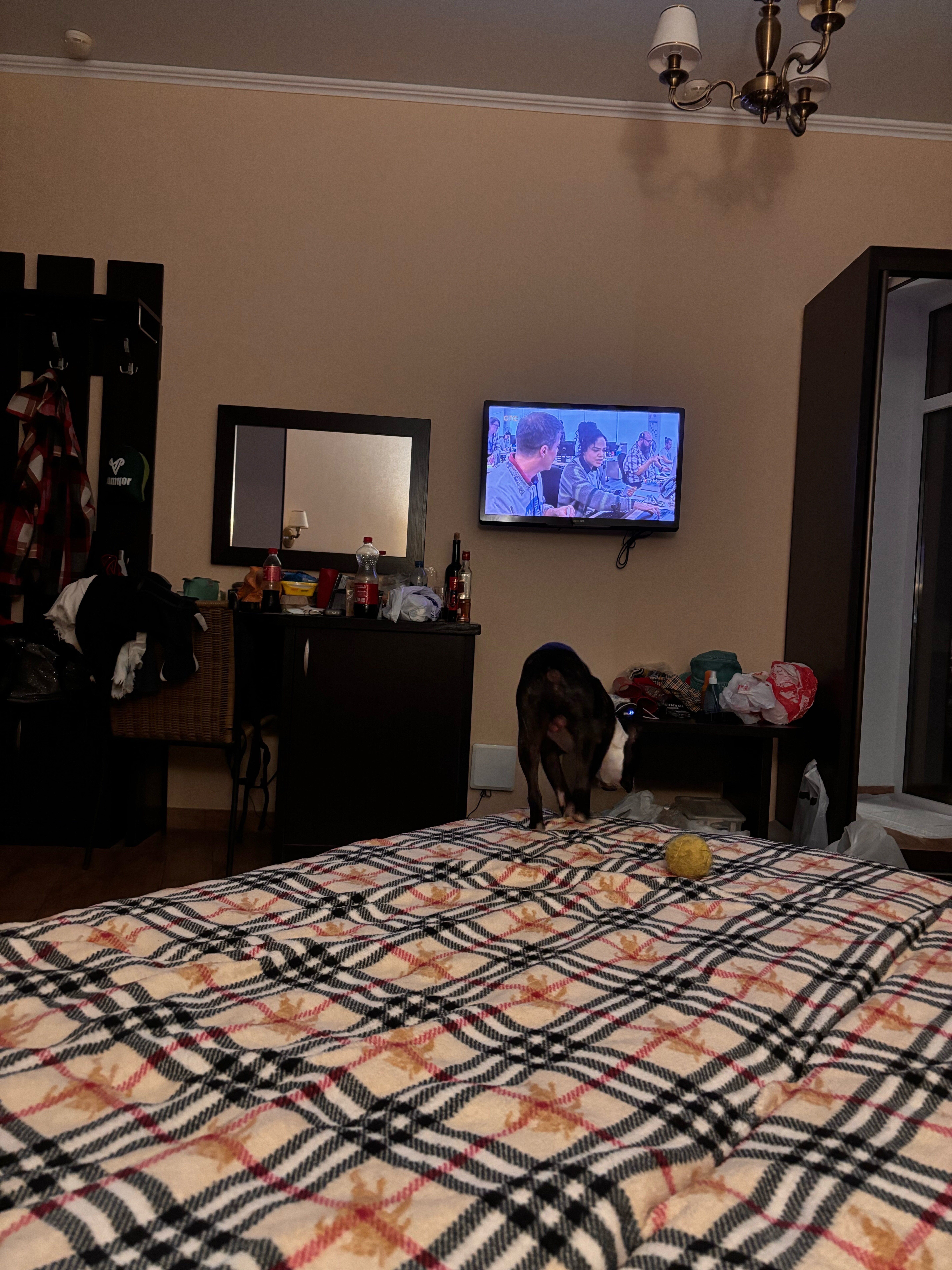 Фото Милана