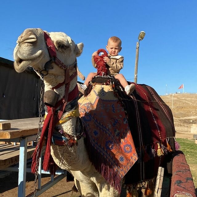 Tour operator Tatilsepeti.com, Izmir, photo