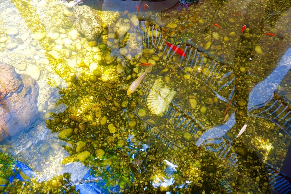 Фото Riverside Apartments by The Beach