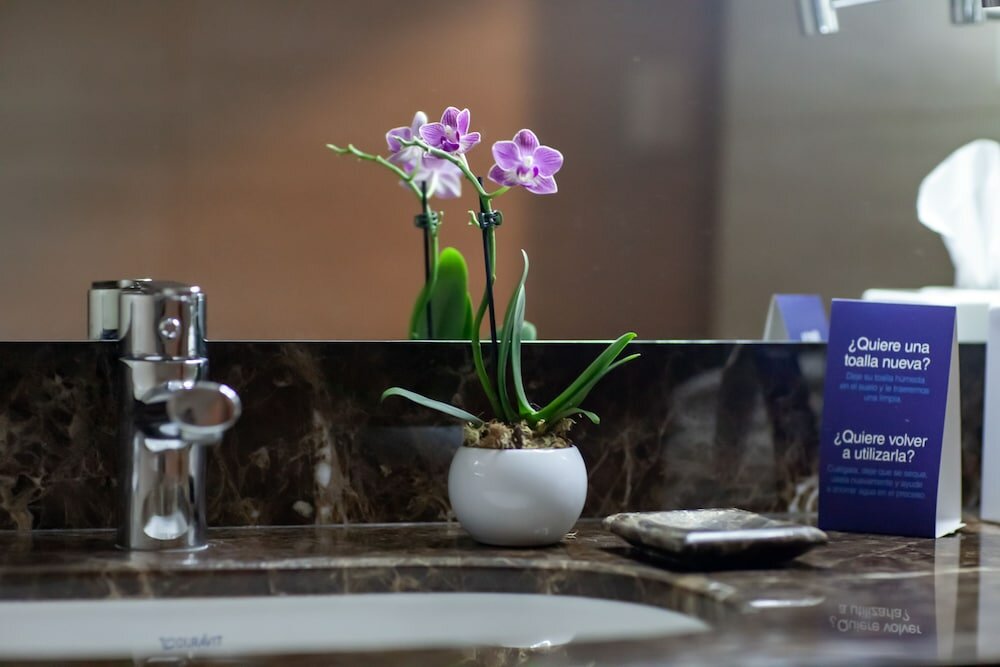 Фото Paseo La Galería Hotel & Suites