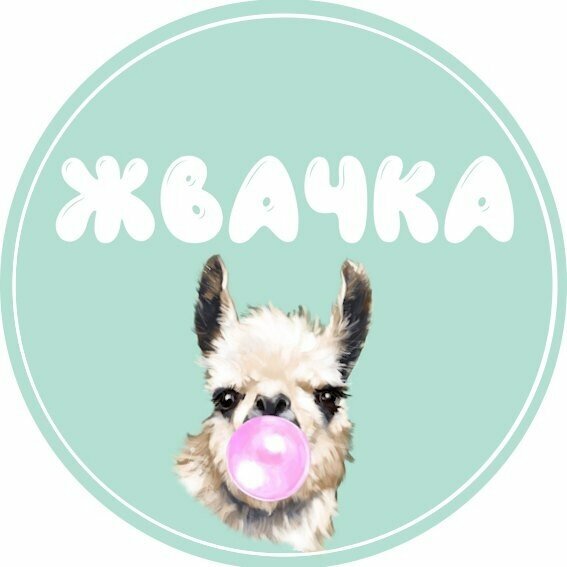 Жвачка