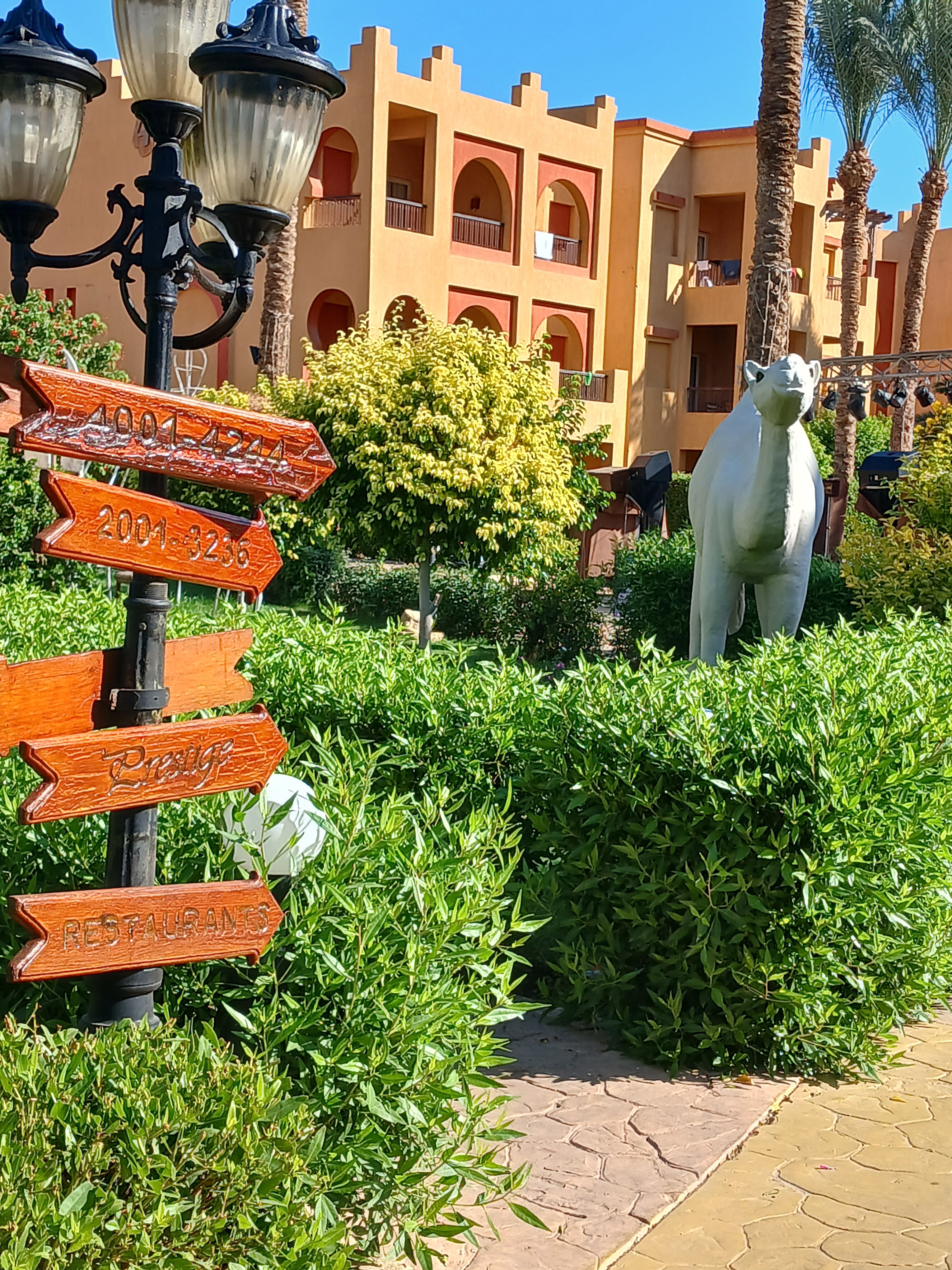 Фото Rehana Royal Beach Resort - Aquapark & SPA