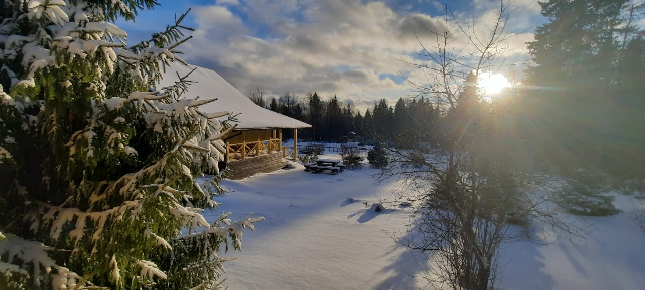 Фото Коттедж на Ладоге