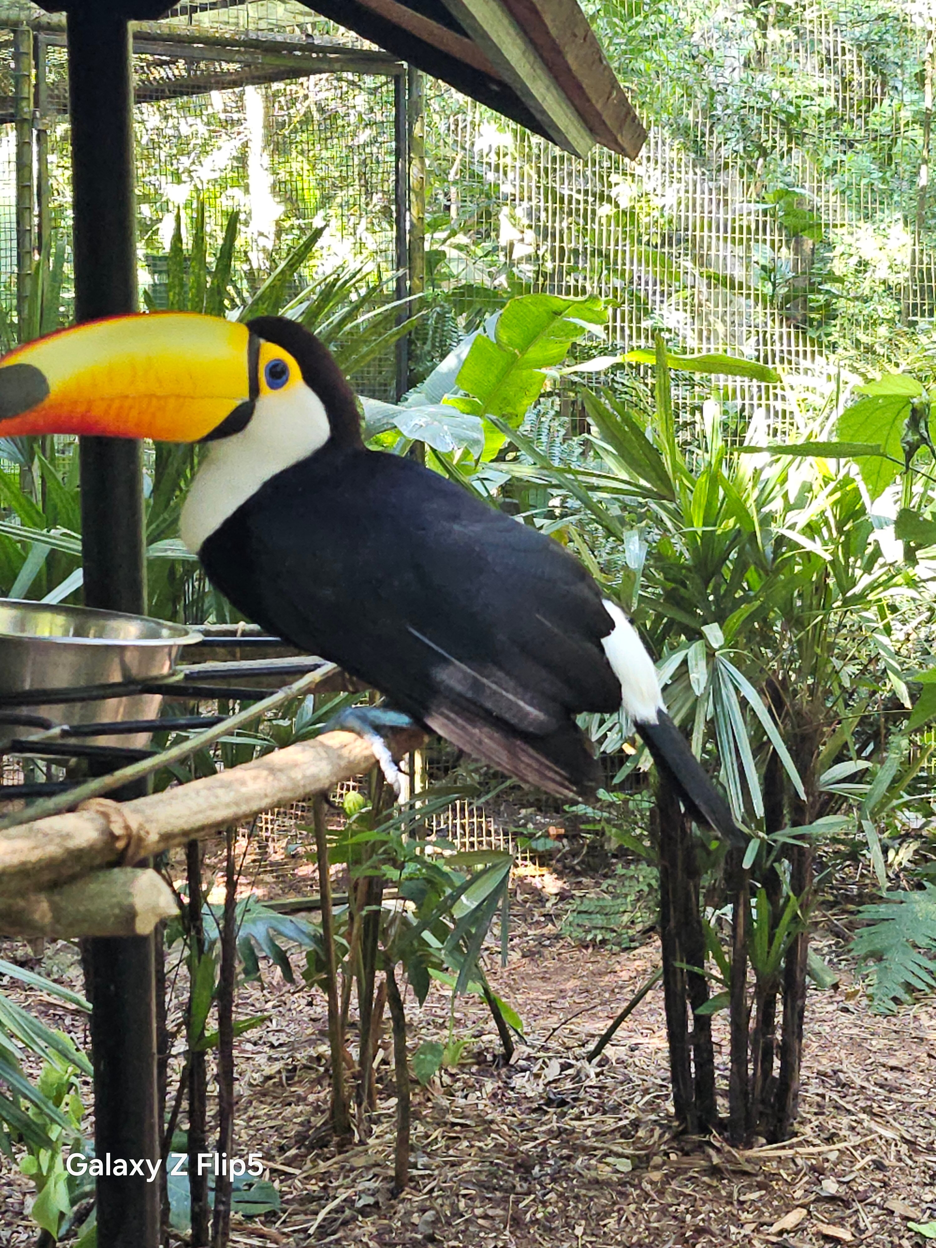 Фото Hotel das Cataratas a Belmond Hotel