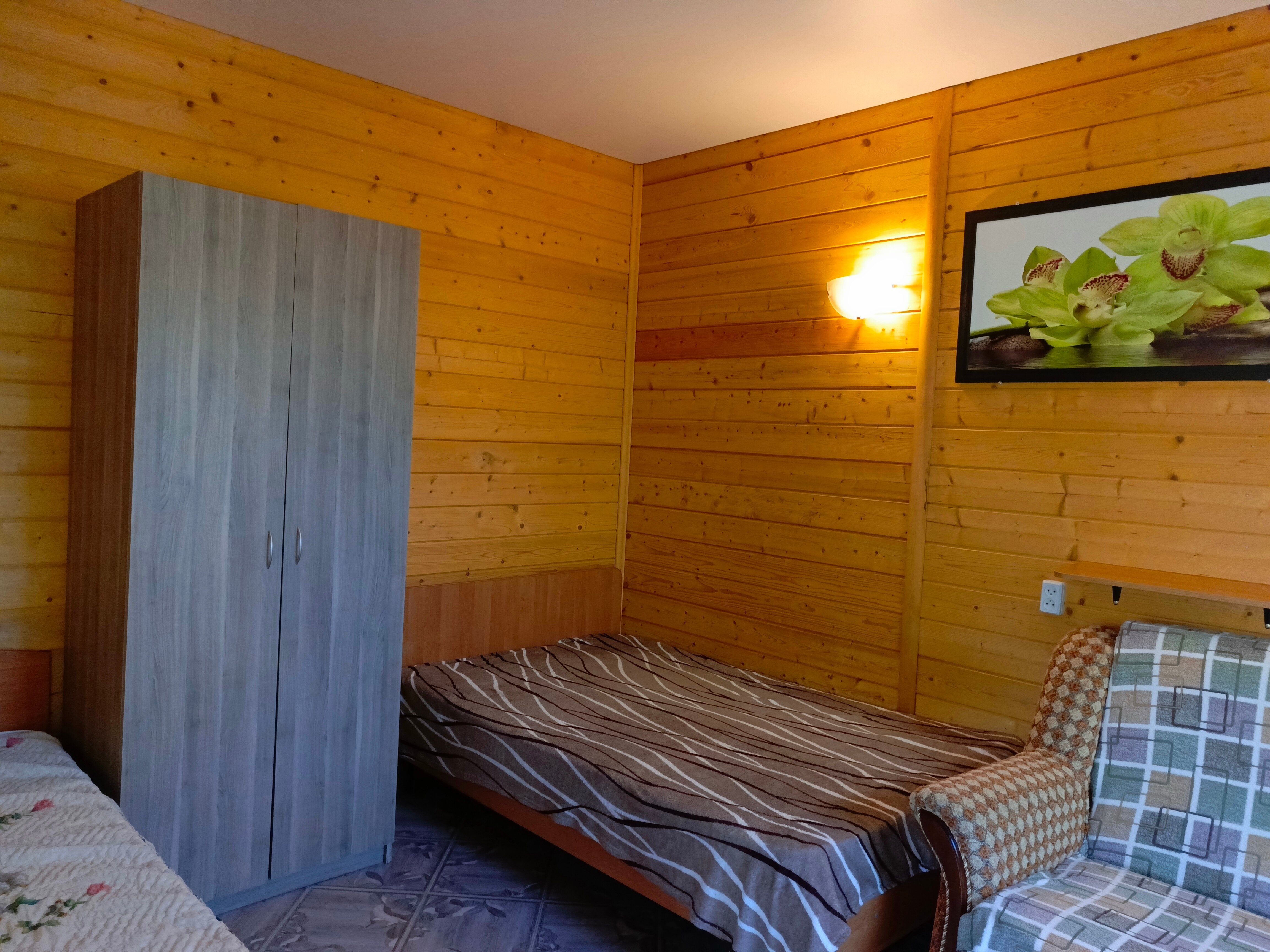 Фото Азалия