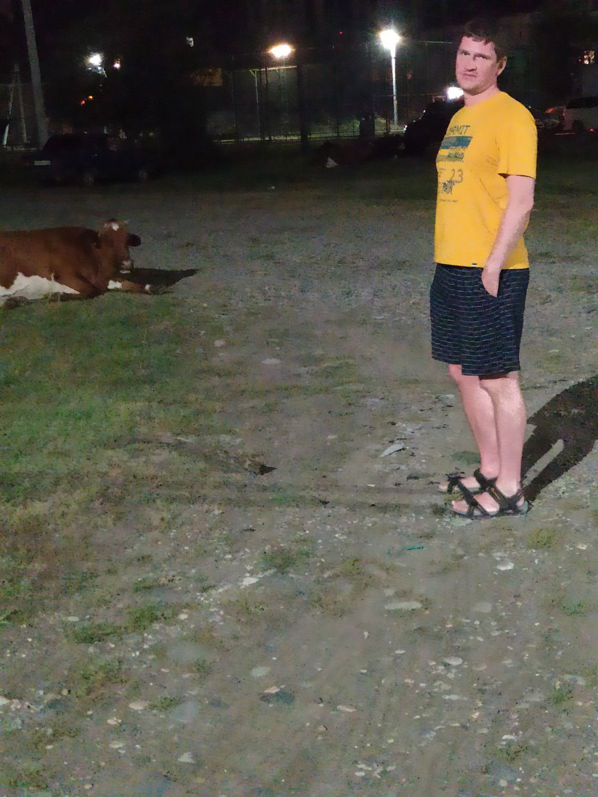 Фото Гостевой Дом Амра