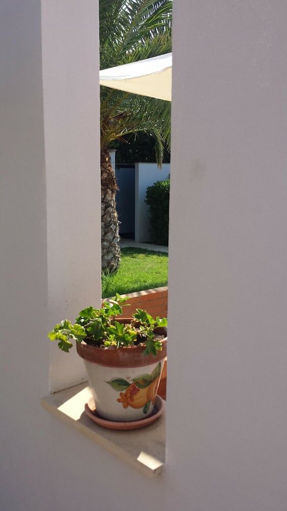 Фото Perla del Sole