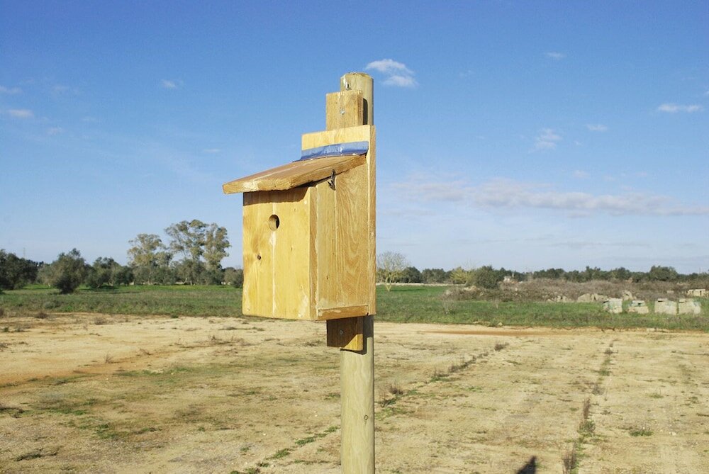 Фото Agriturismo Masseria Galatea