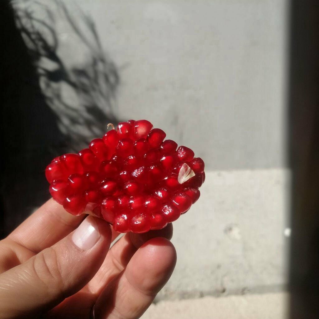 Fast food Antocya Doner, Artuklu, photo