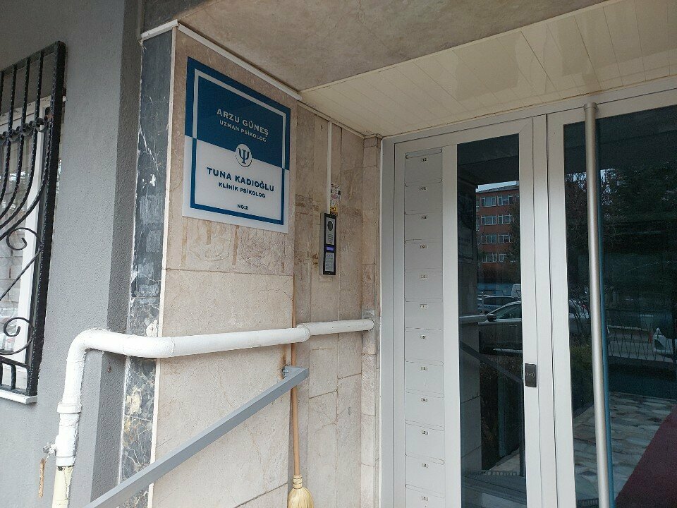 Psychotherapist Dr. Arzu Gunes, Ankara, photo
