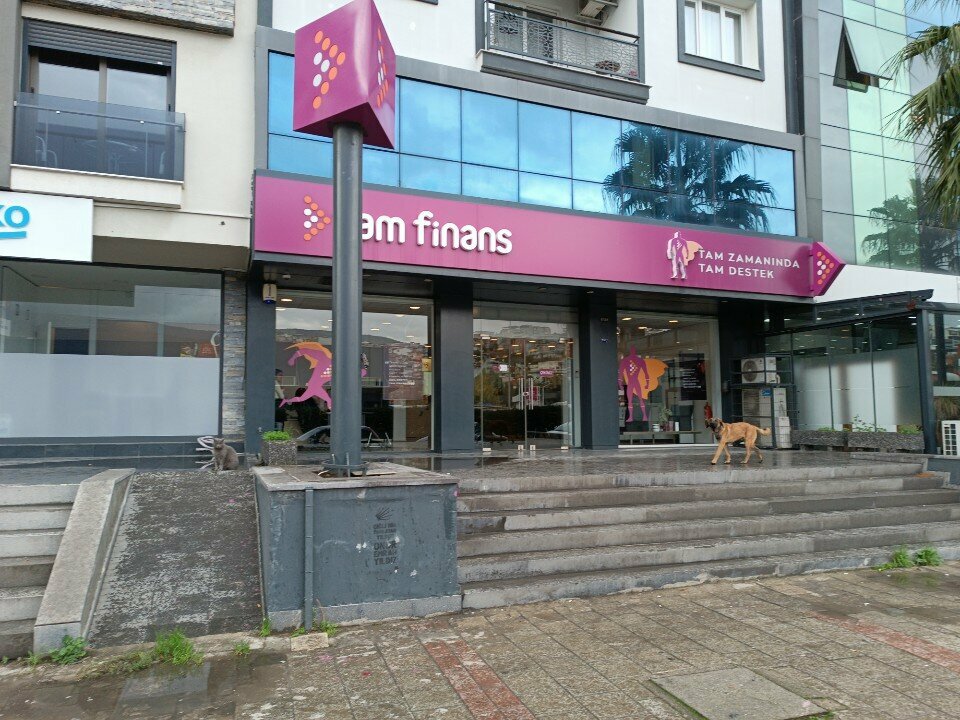 Financial consulting Tam Finans - Şubesi, Izmir, photo