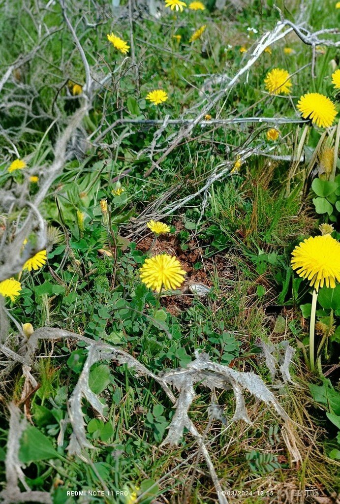 School Bagbasi Middle School, Kahta, photo