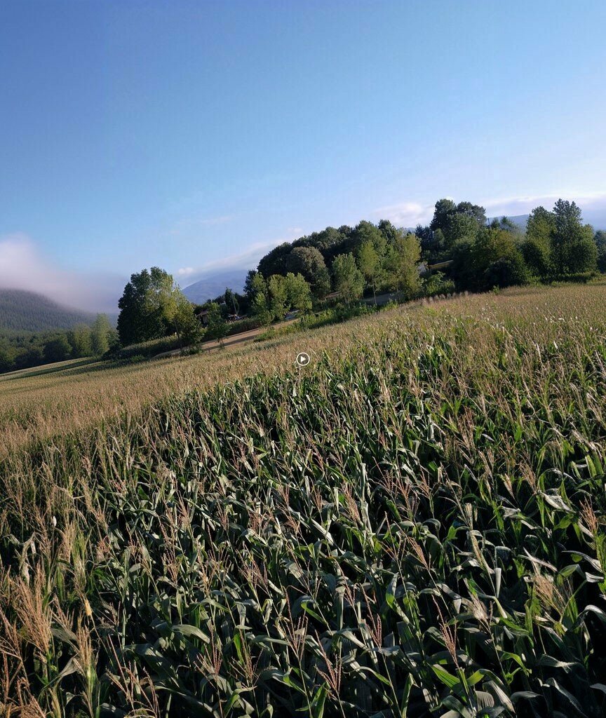 Mukhtars Bugdayli Koyu Muhtarligi, Akyazi, photo