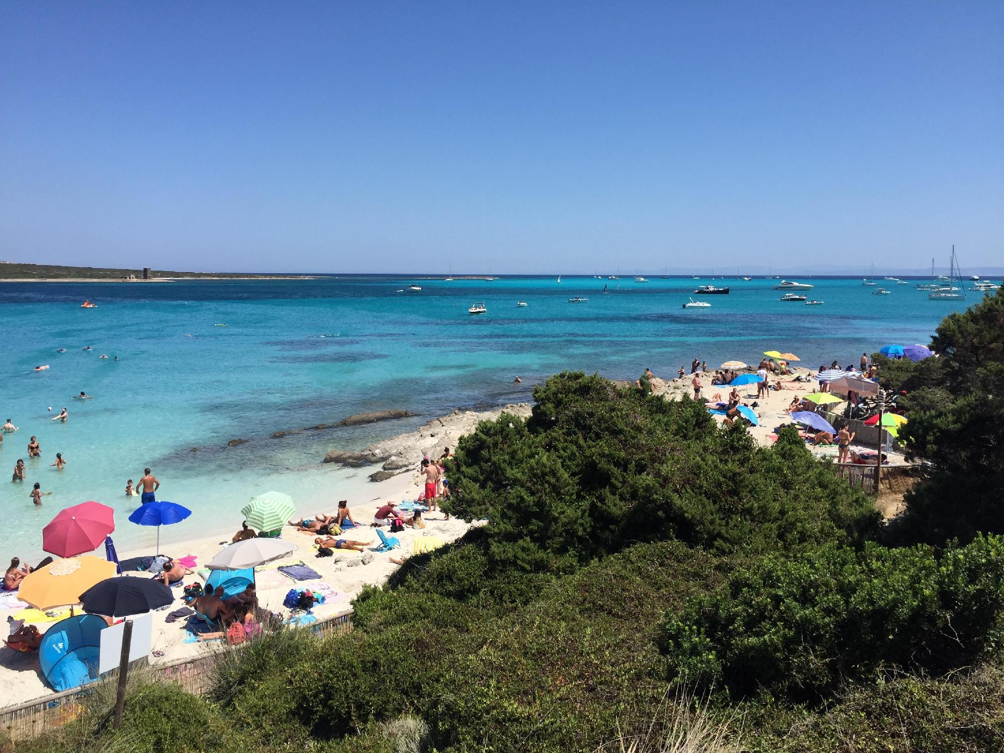Фото Agriturismo Agave