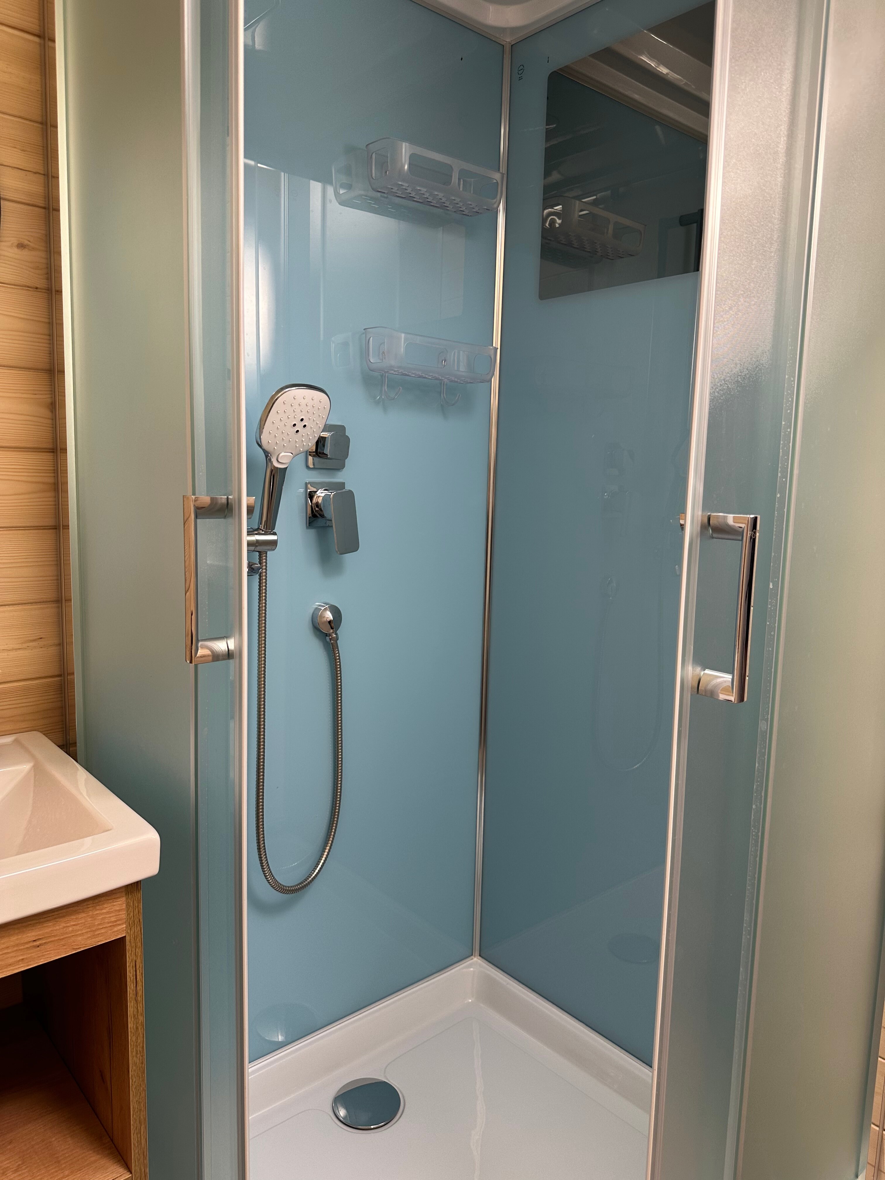 Фото Караси