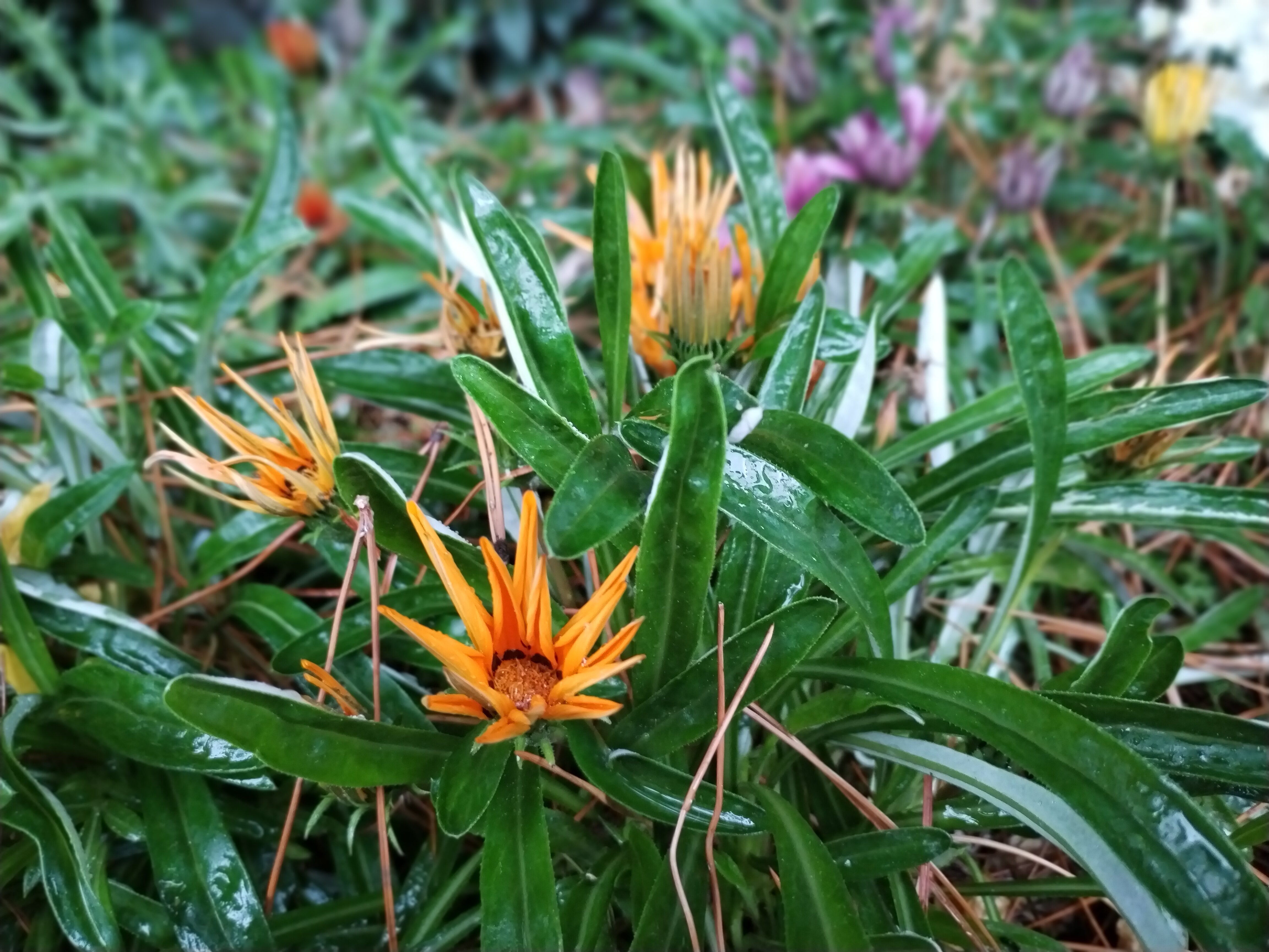 Фото Владислава