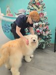 Хвостатый Стиляга (Oktyabrskaya Street, 23), pet salon