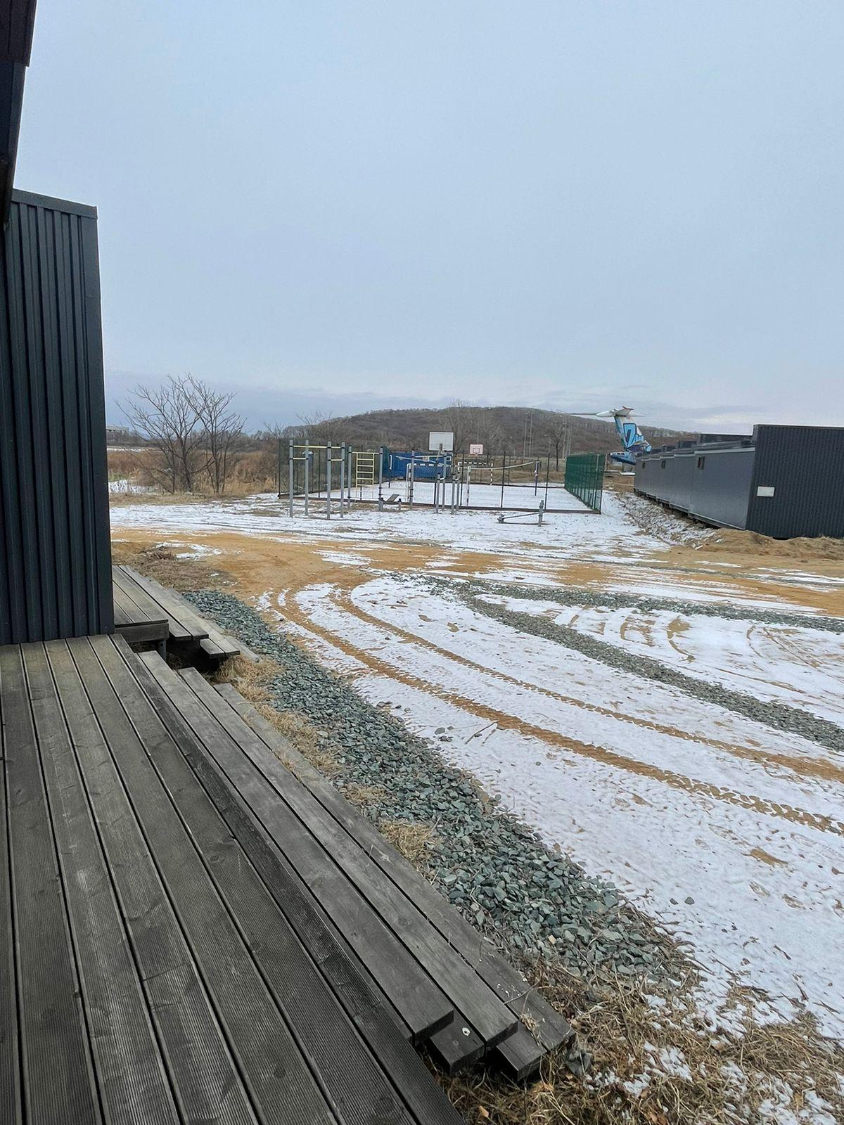 Фото Лазурная черепаха