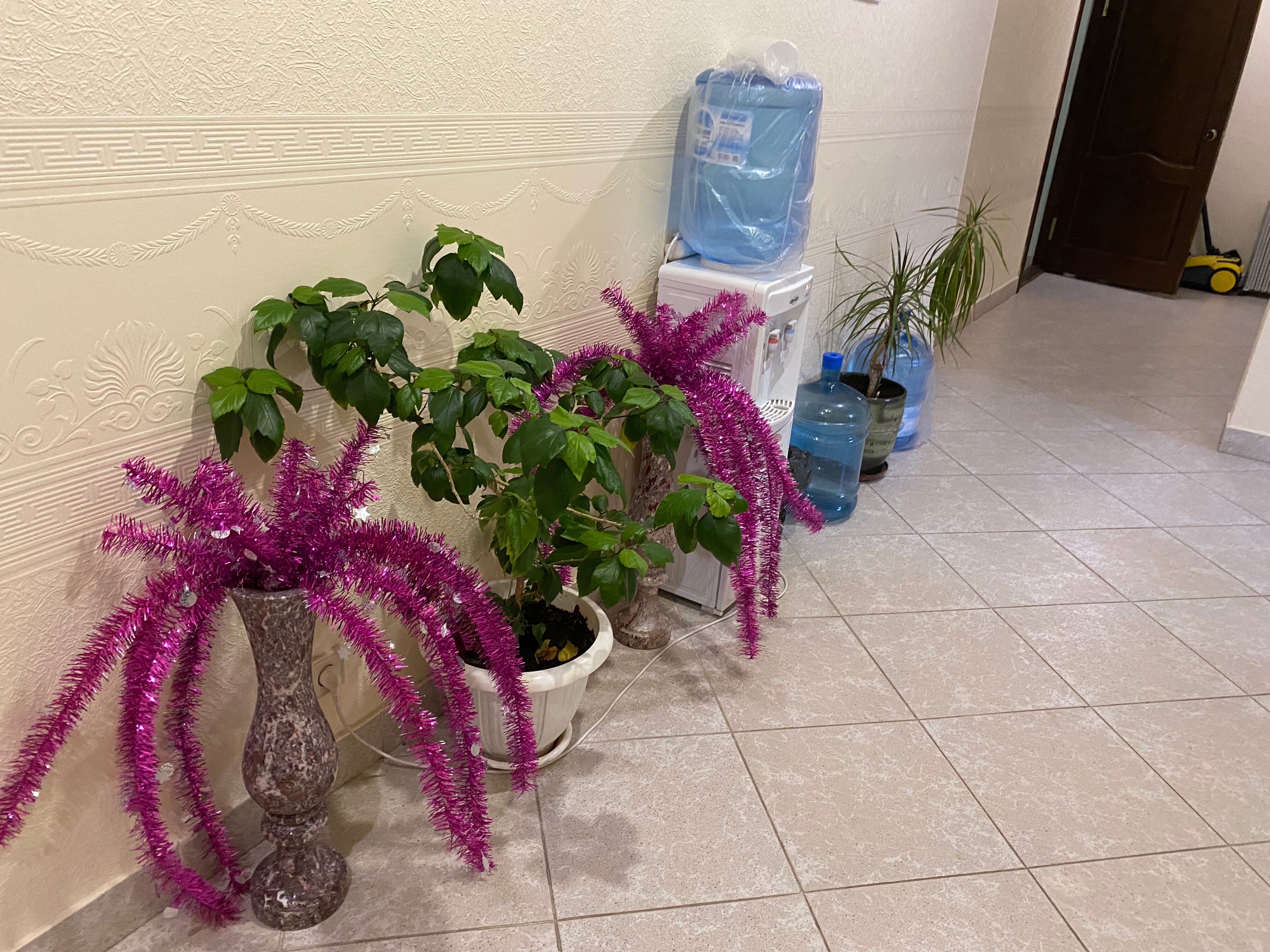 Фото У Прокопа