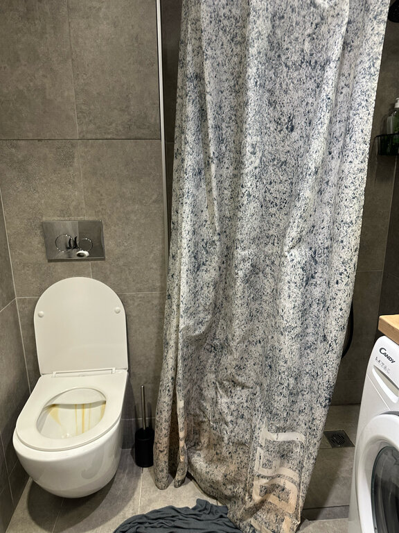 Фото BrickWood Loft