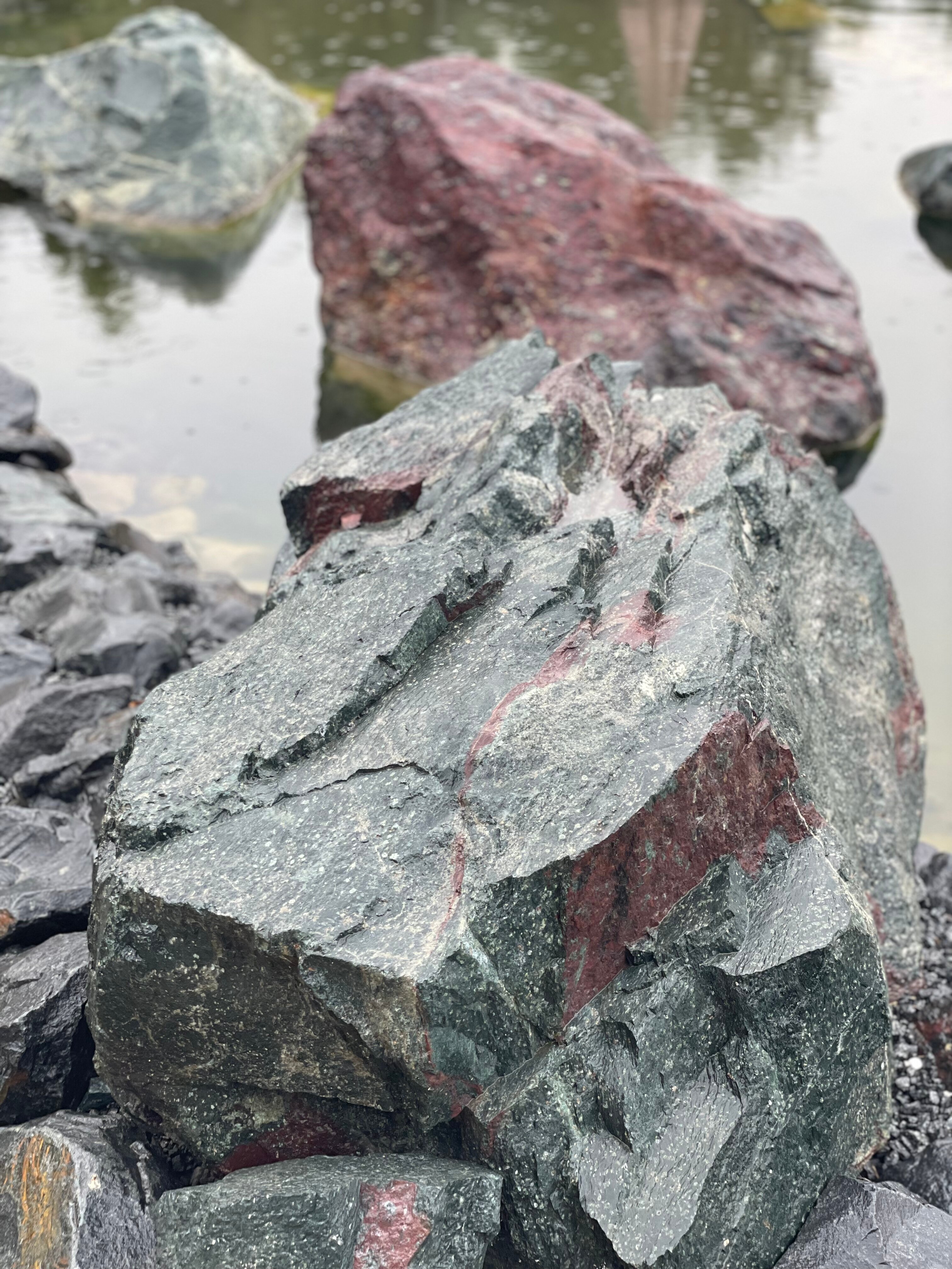 Фото Петровские Паруса