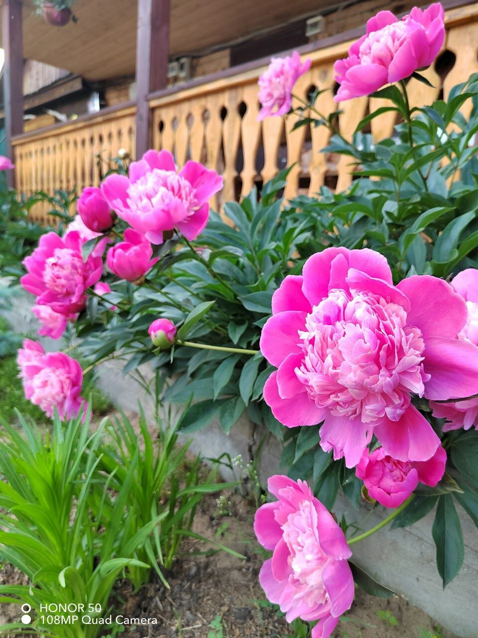 Фото Семейный