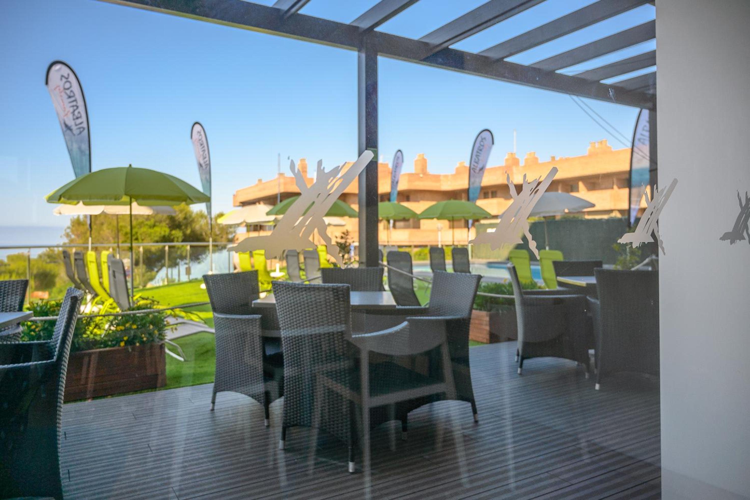 Фото Albatros Family