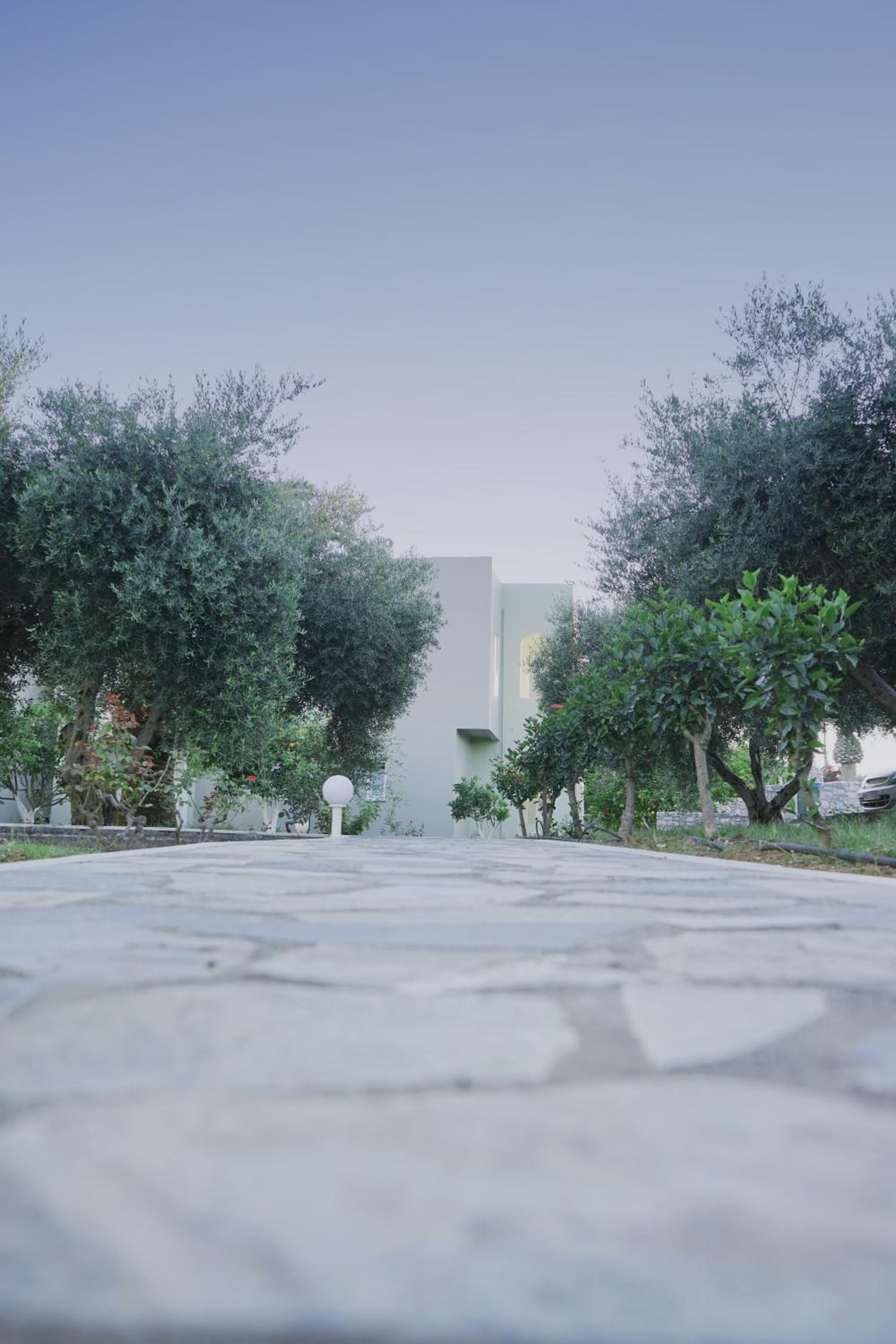 Фото Vardis Olive Garden