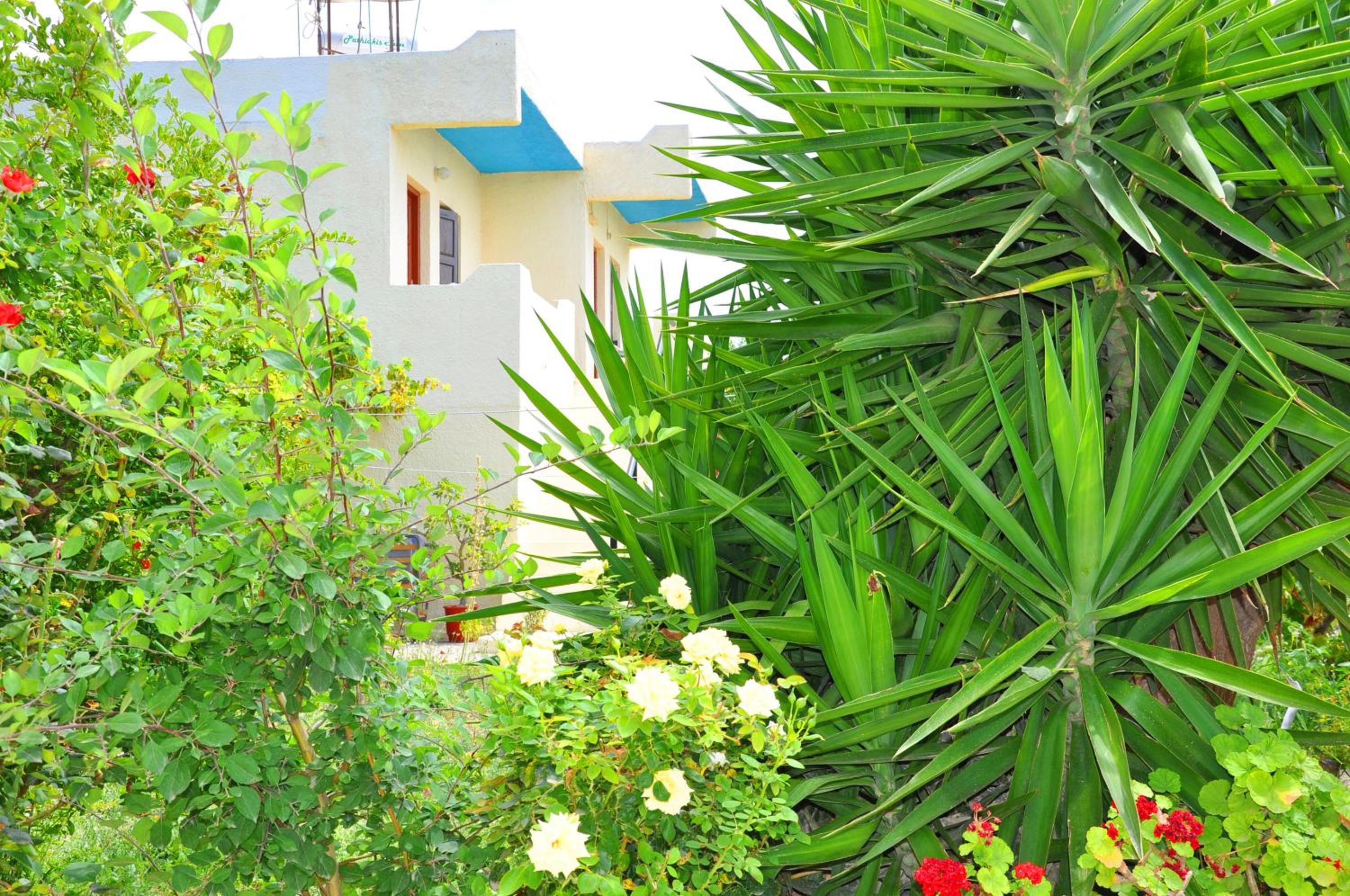 Фото Dimitra Apartments