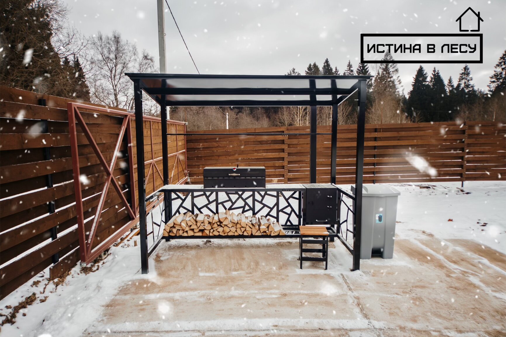 Фото Истина в лесу