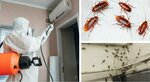 Чистый город (proyezd Profsoyuzov, 3А), disinfection, disinsection, deratization