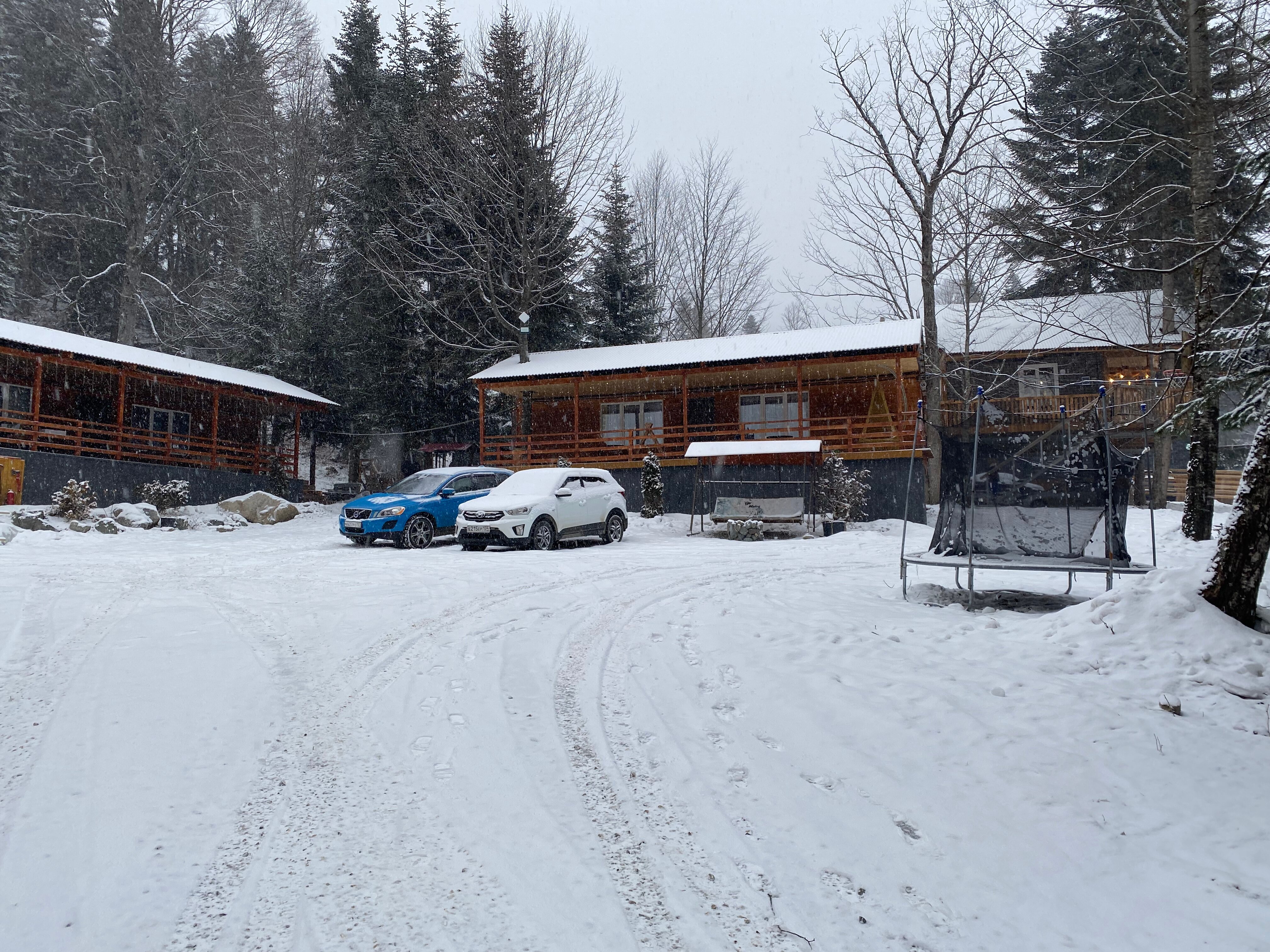 Фото Аргали