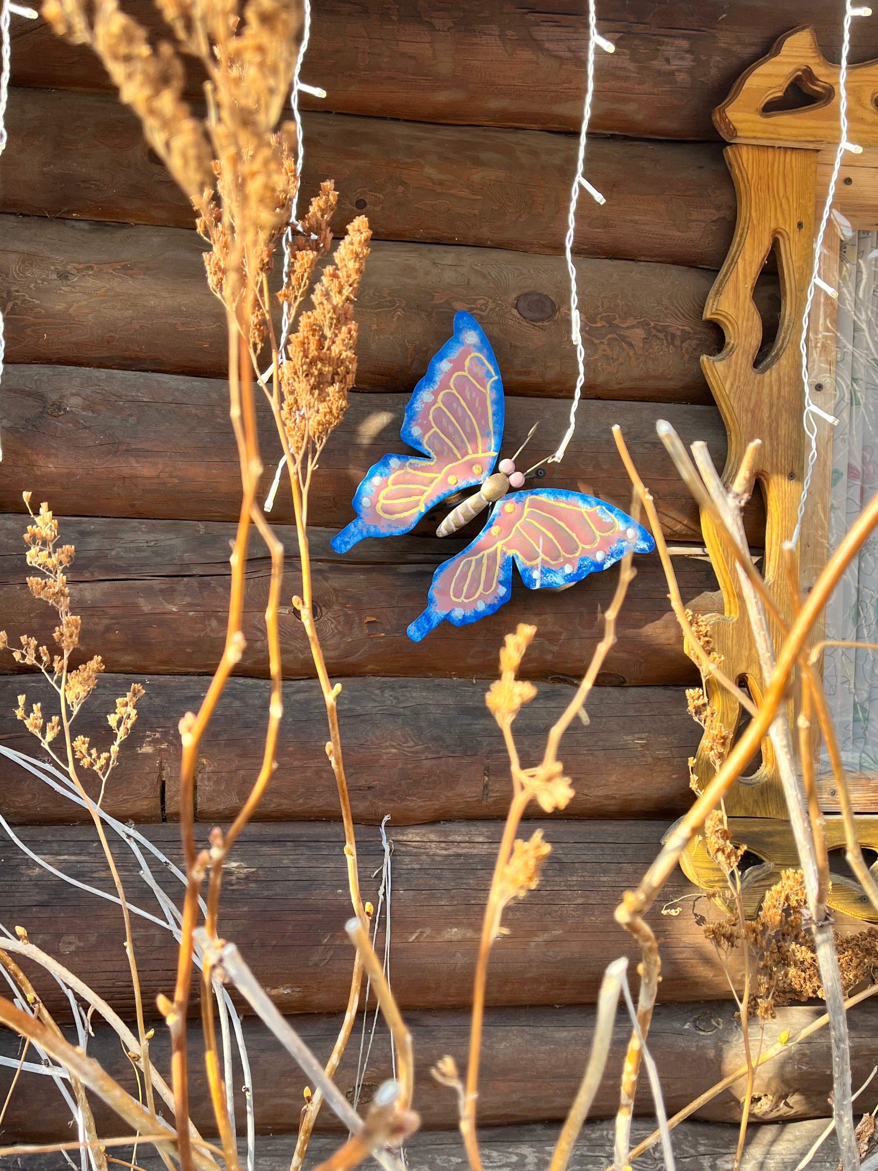 Фото Деревенька Аракуль