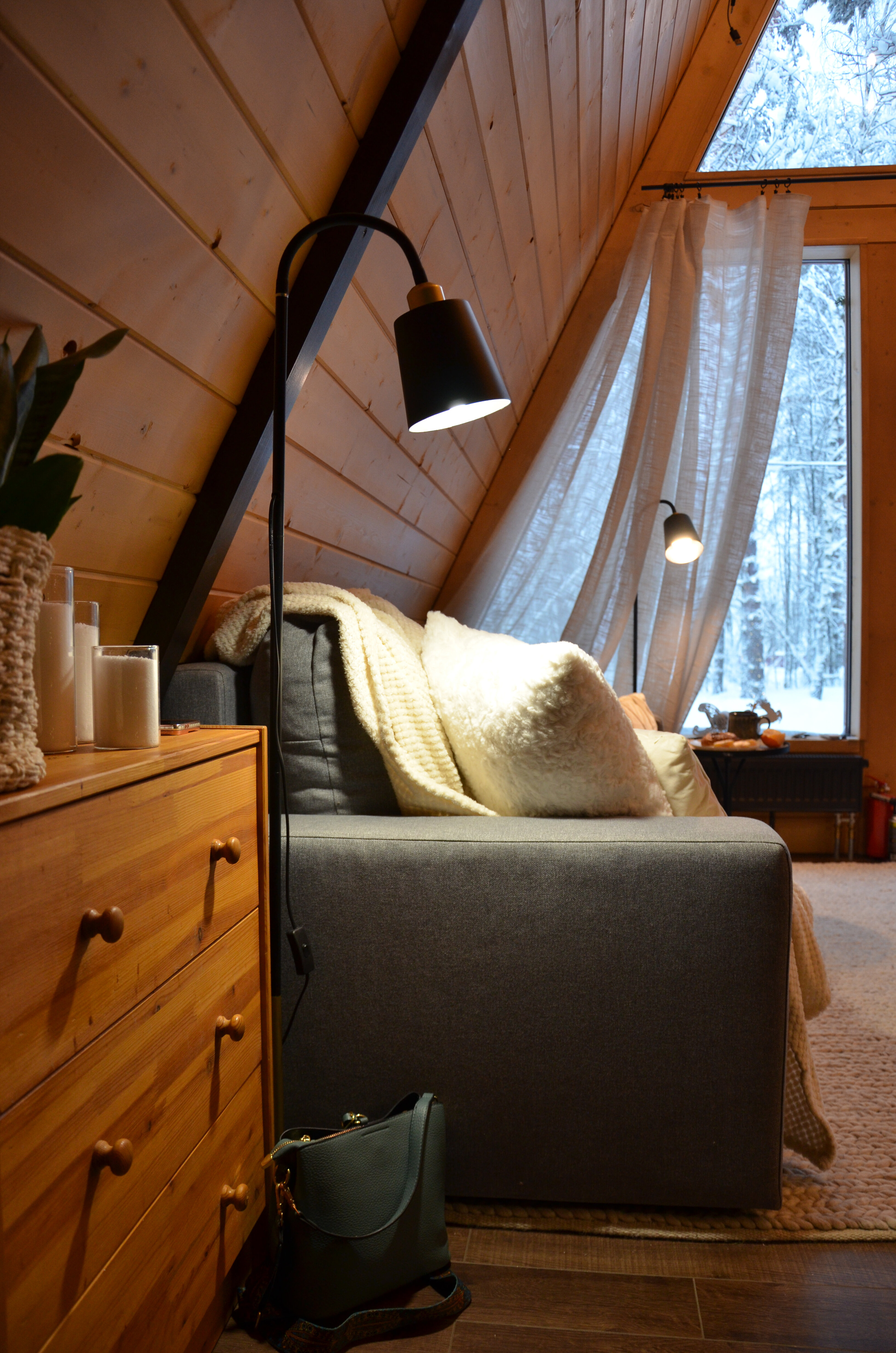 Фото Шишки Парк