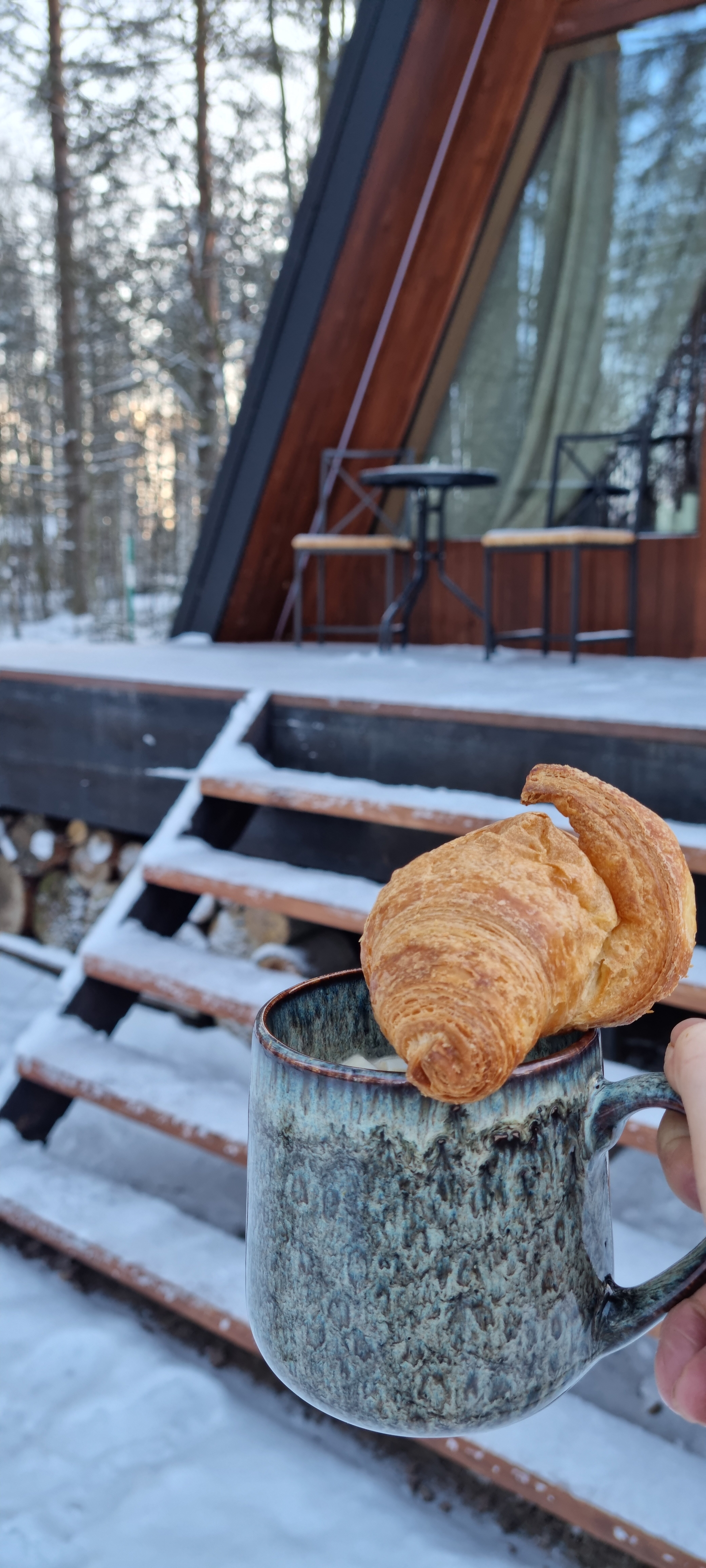 Фото Шишки Парк