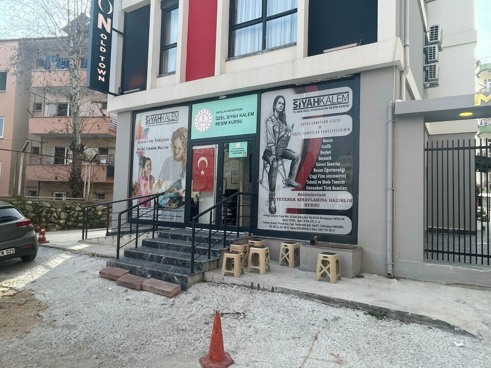 Further education Black Pen Art Course, Antalya, photo