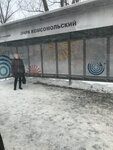 Комсомольский парк (Perm Territory, Berezniki, ulitsa Pyatiletki), public transport stop