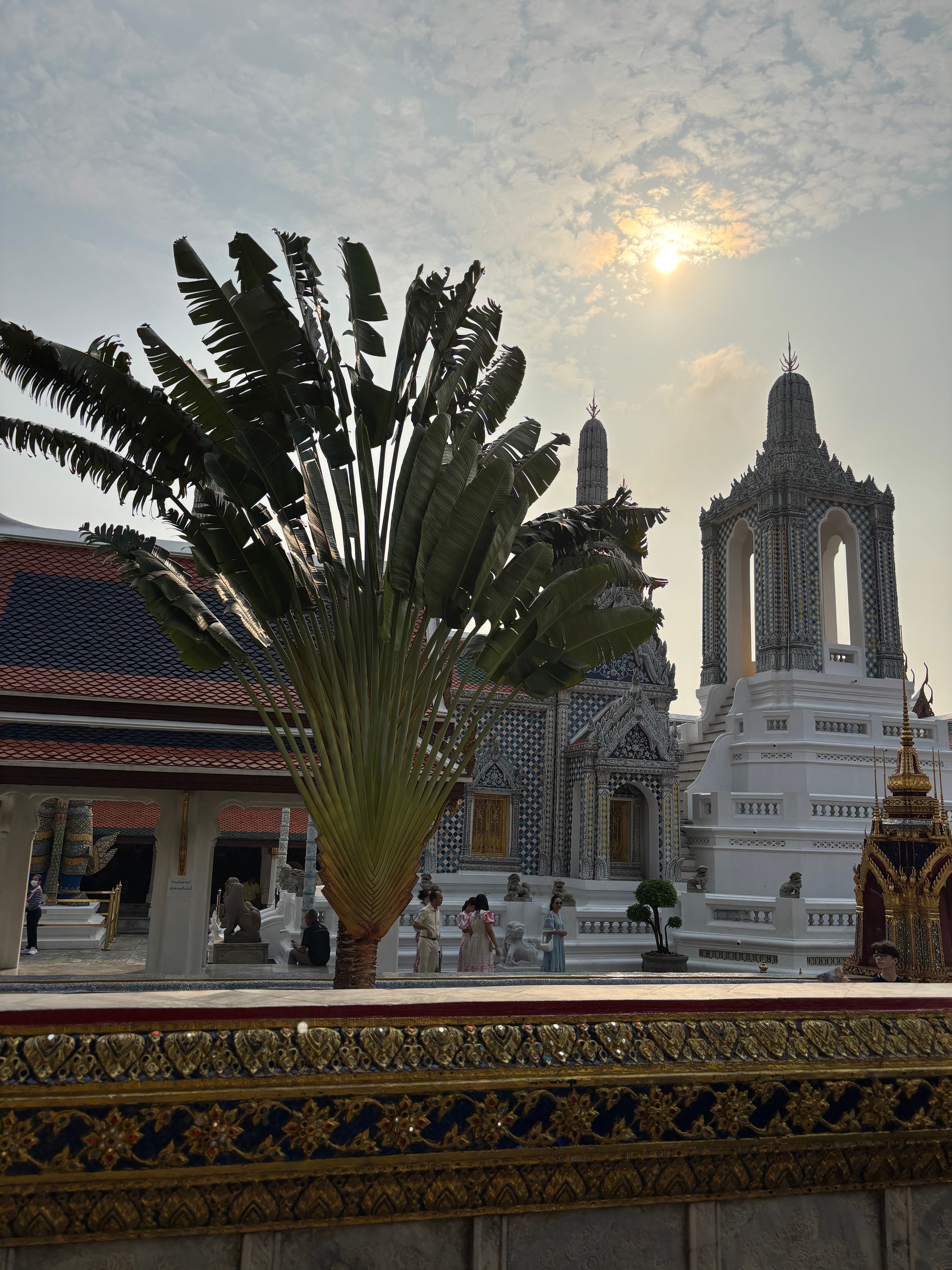 Фото W22 by Burasari