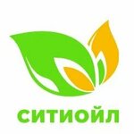 Ситиойл (Shosseynaya Street, 31А), gas station