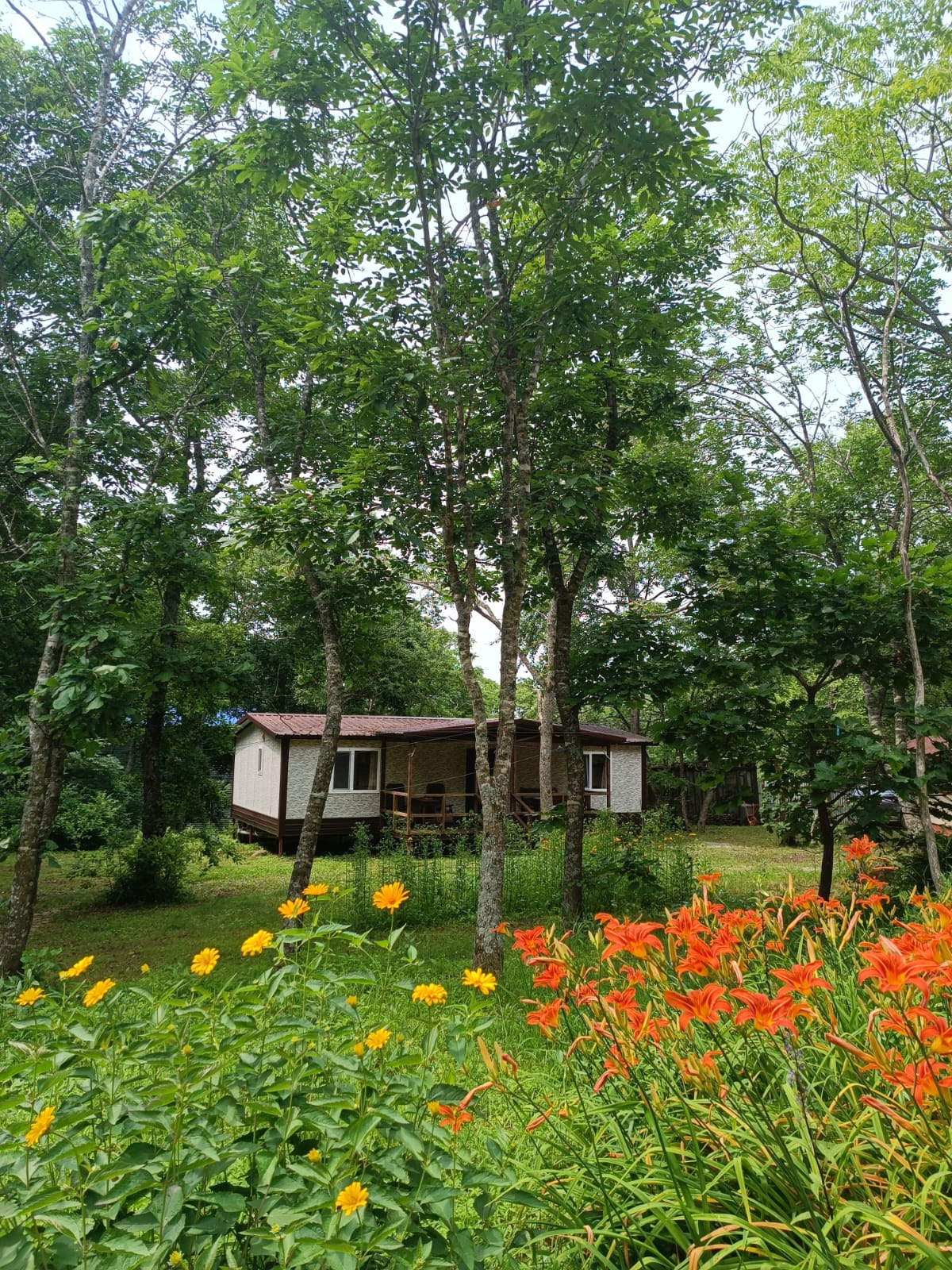 Фото Камень Льва