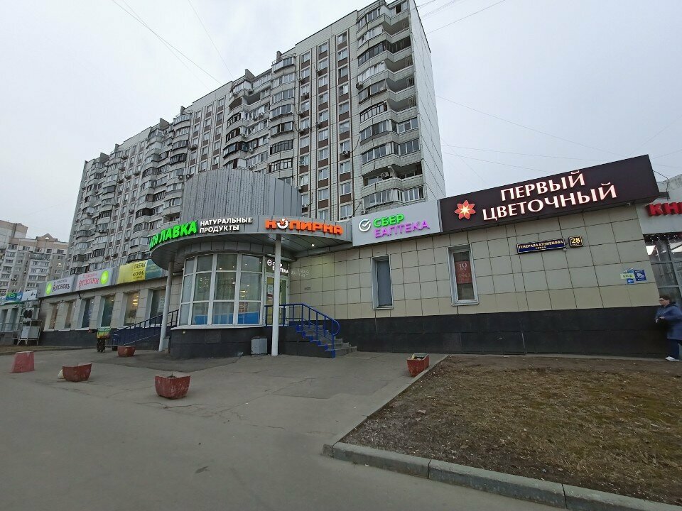 Payment terminal Elecsnet, Moscow, photo