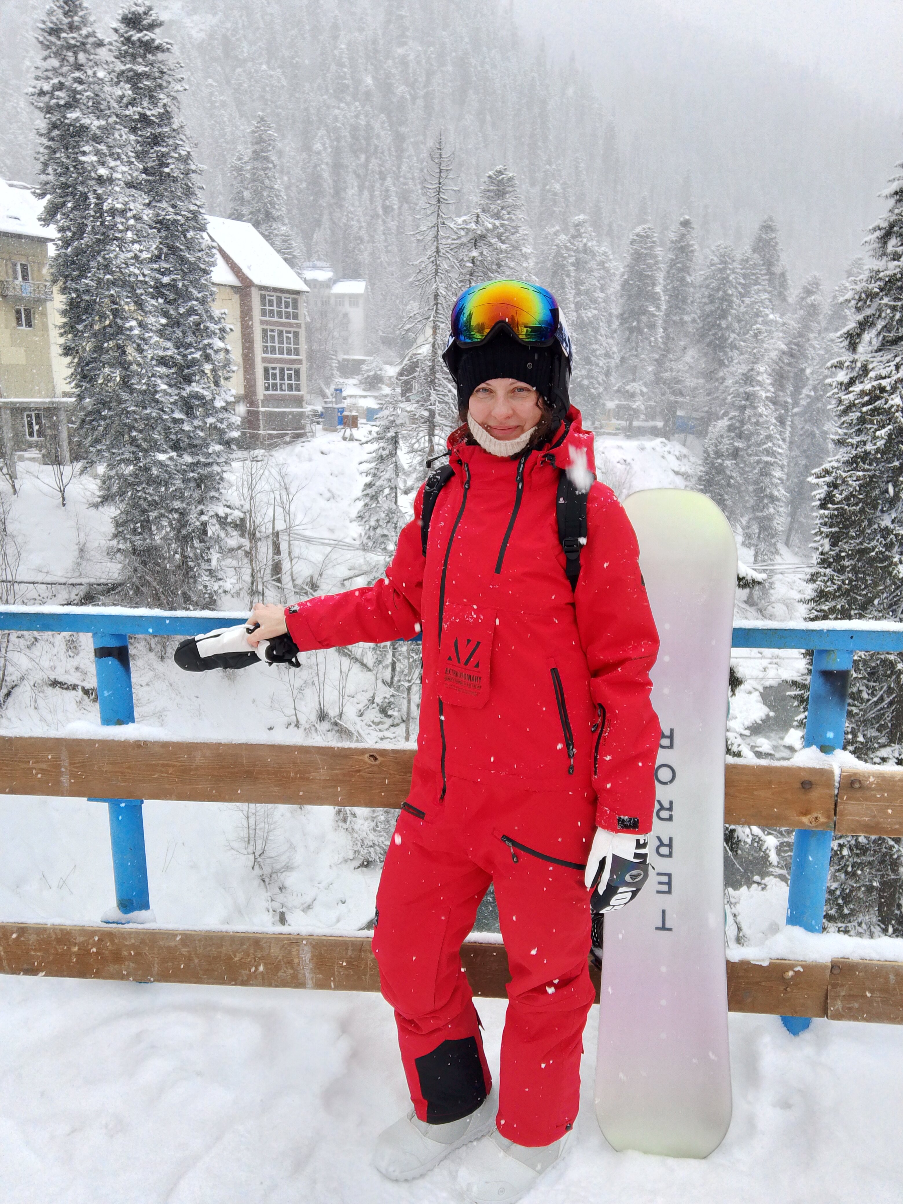 Фото Ягодный тис