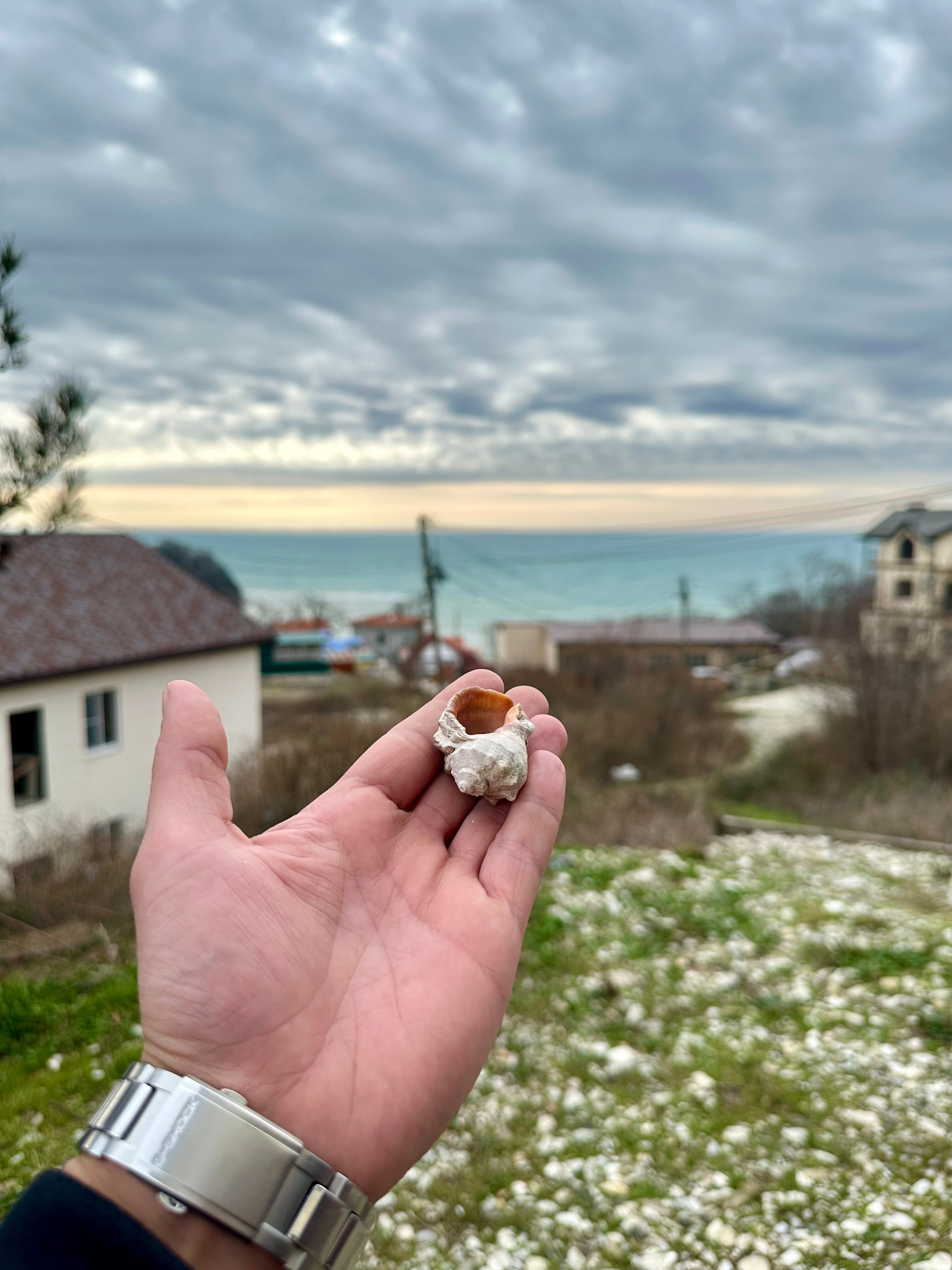 Фото НаМоре