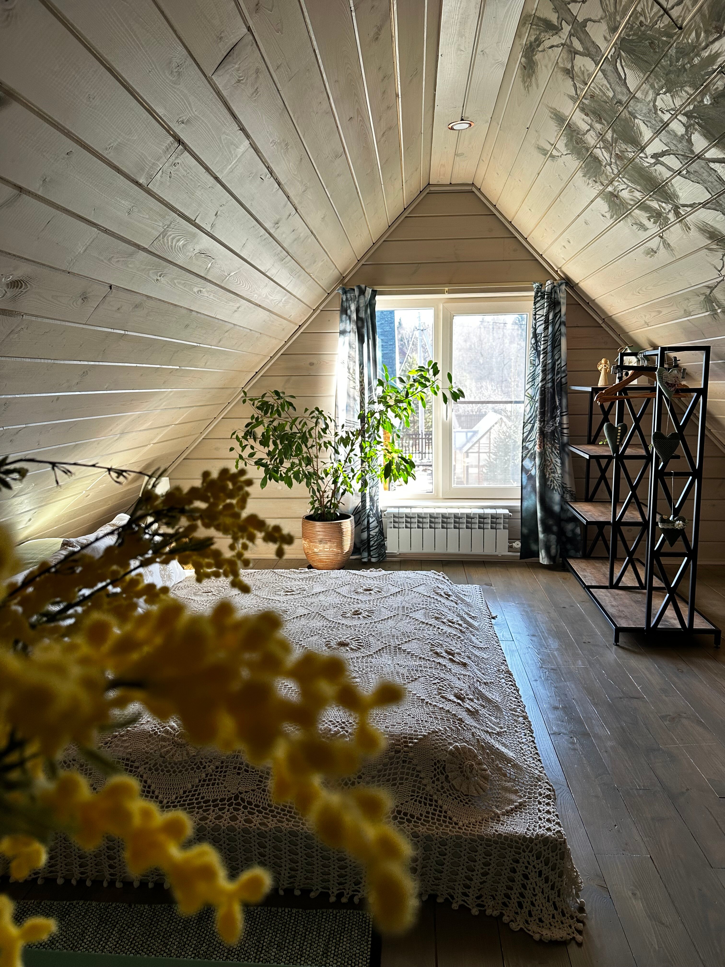 Фото Дом Шишки